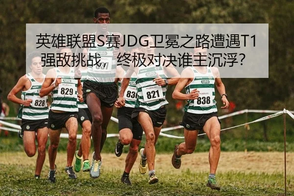 英雄联盟S赛JDG卫冕之路遭遇T1强敌挑战，终极对决谁主沉浮？